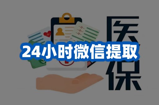 24小时微信提取