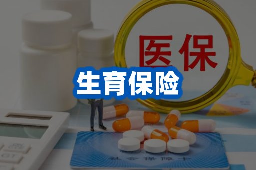 生育保险案例